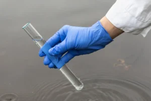 Rozkład bakterii w próbce wody